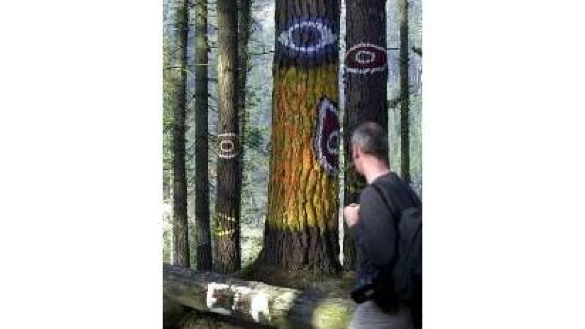 Un hombre observa el bosque encantado de Oma con una pintada de ETA