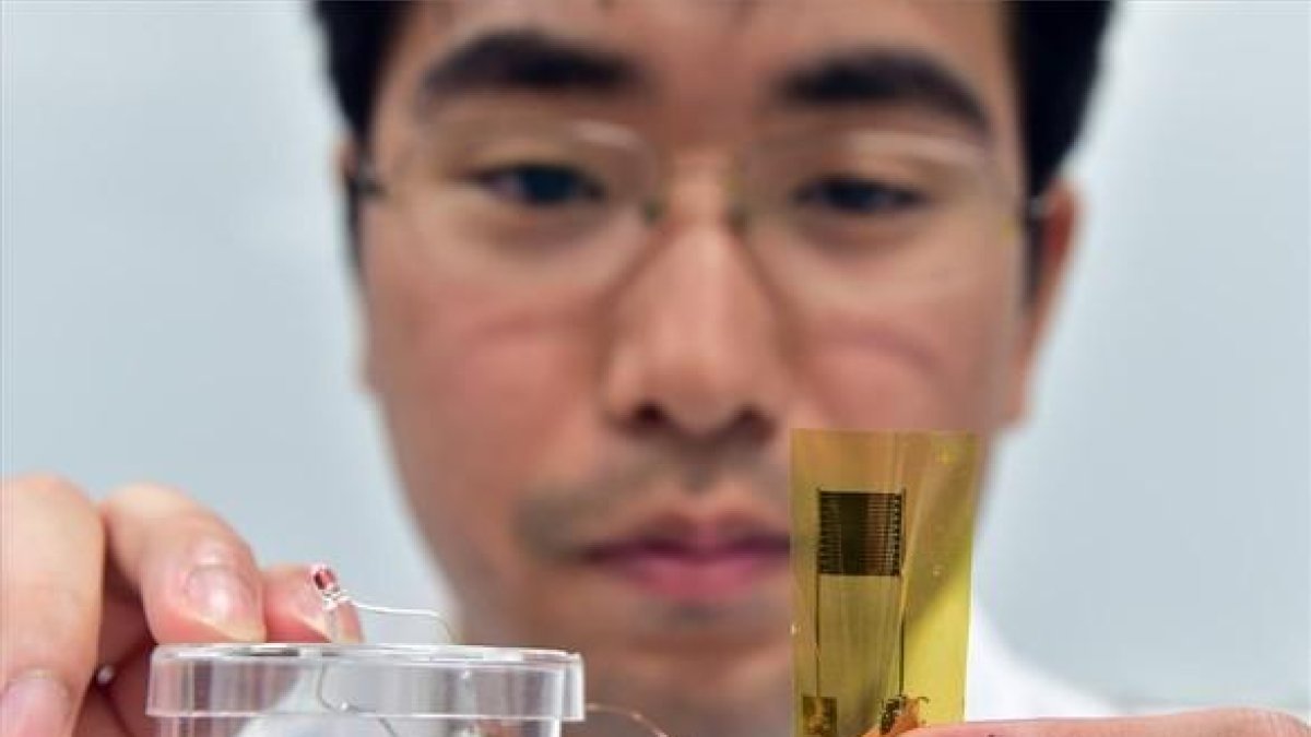 Un investigador de la Universidad de Tokio muestra el termómetro en forma de tirita.