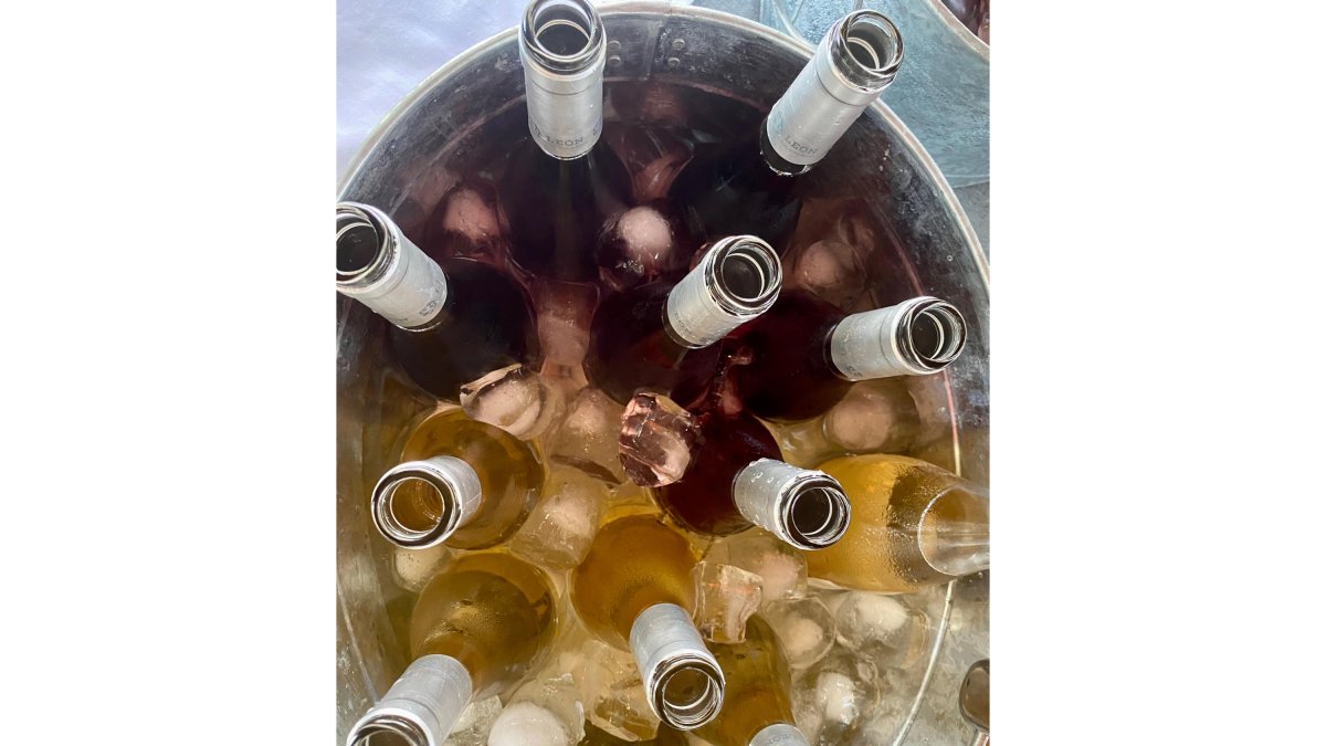 Botellas de vino de la DO León. DL