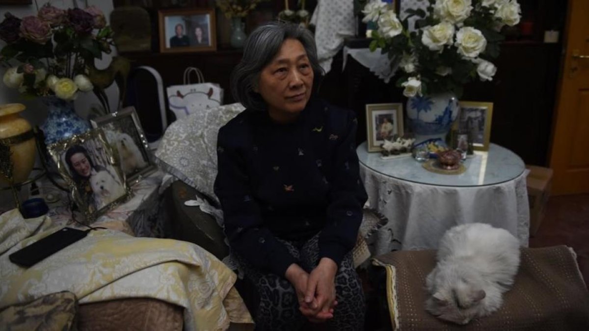 La veterana periodista Gao Yu, en su casa, en Pekín, antes de la agresión, el 31 de marzo.