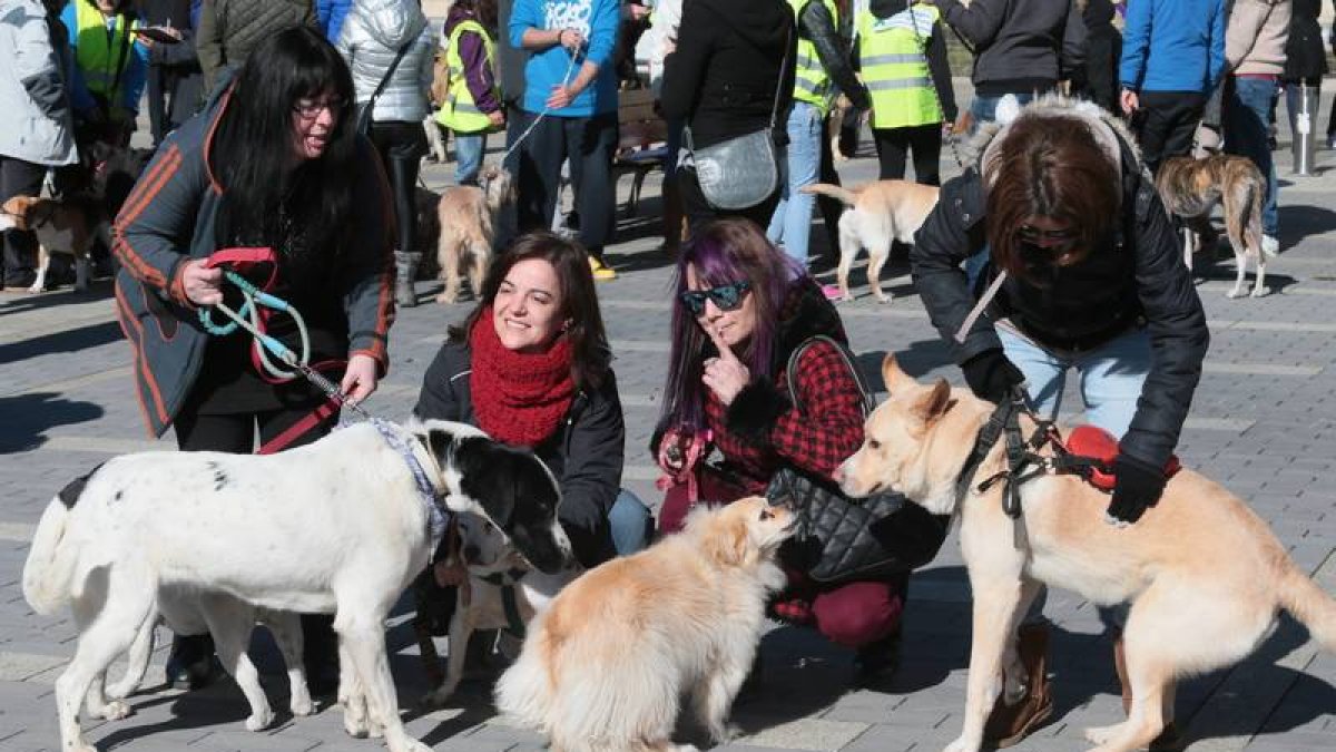 Un grupo de chicas con sus perros en una marcha por la defensa de los derechos de los animales celebrada en León