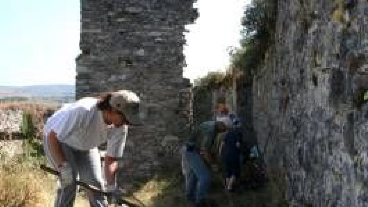 Los integrantes de Pro Monumenta y vecinos de la zona limpiaron ayer los muros y accesos al castillo
