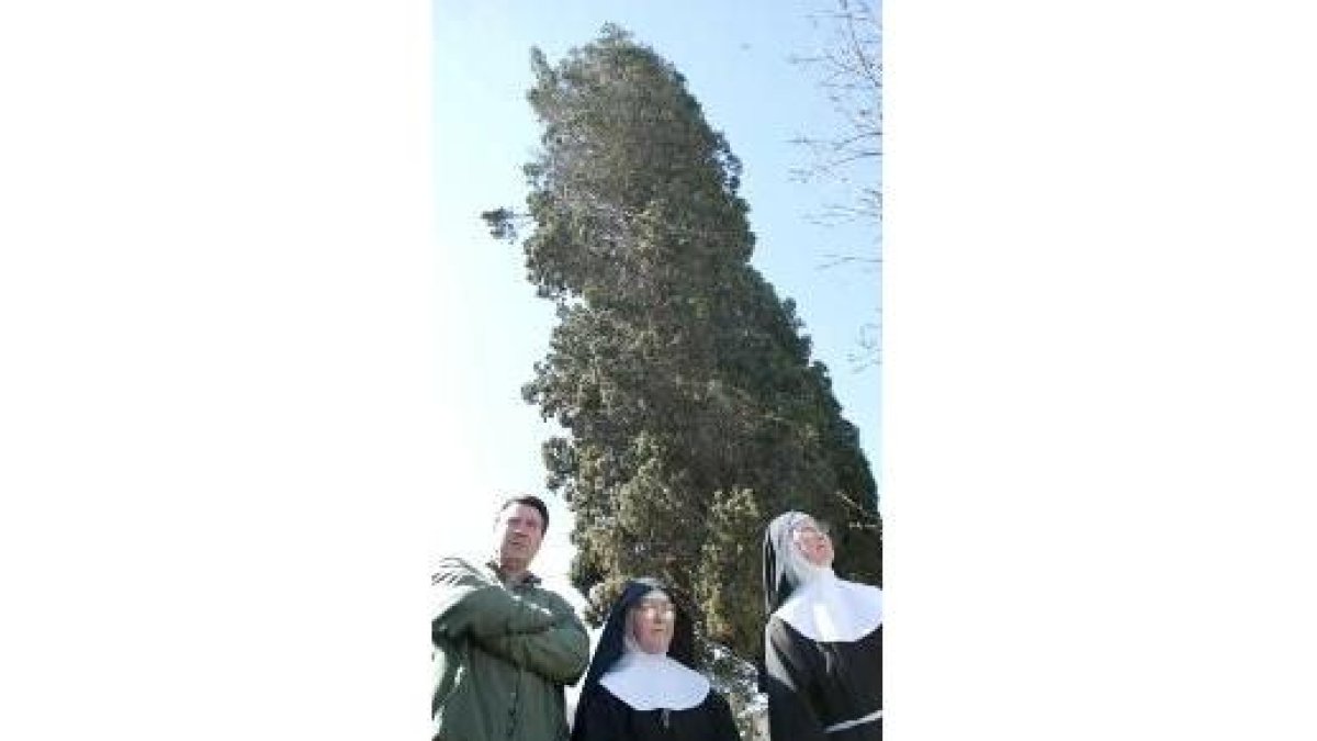 Dos clarisas y un técnico de la Junta ante el ciprés del convento