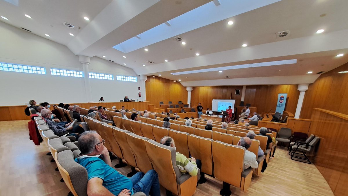 Una reunión en el Ayuntamiento de San Andrés. DL