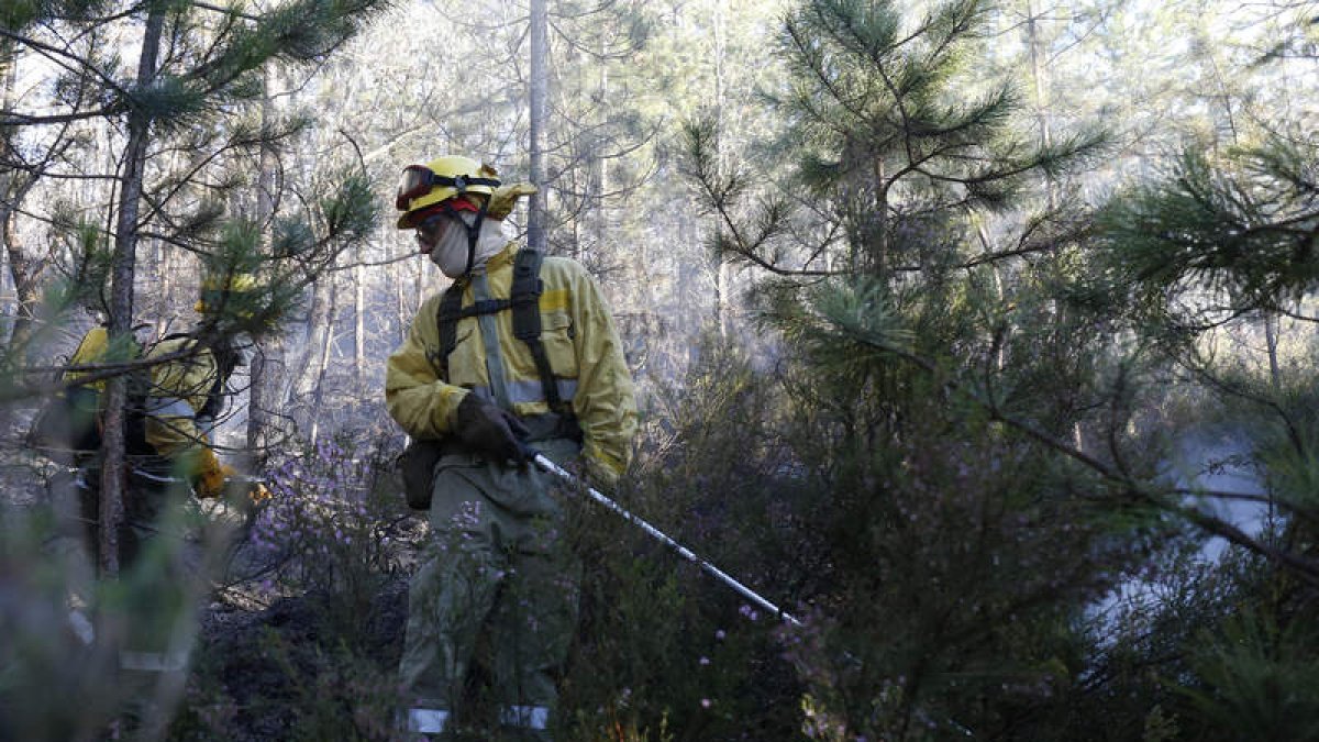 Un miembro de las brigadas forestales actuando en un incendio. FERNANDO OTERO