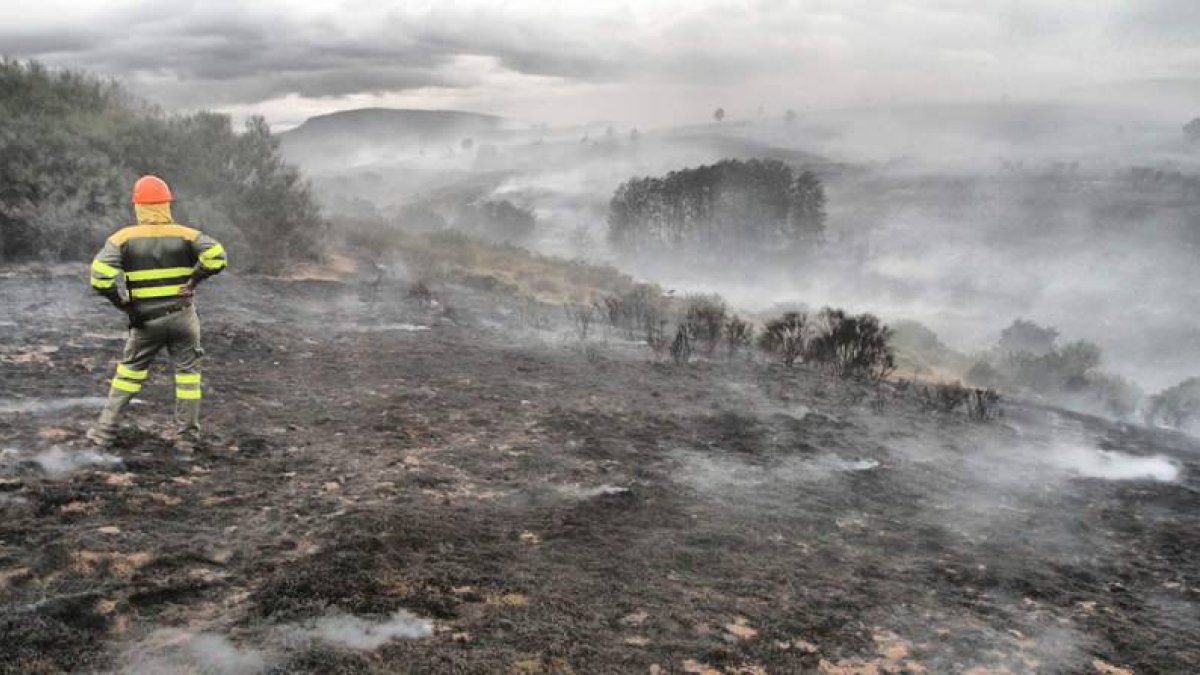 Un brigadista contempla la superficie quemada por el fuego registrado en las inmediaciones del pantano de Villagatón.