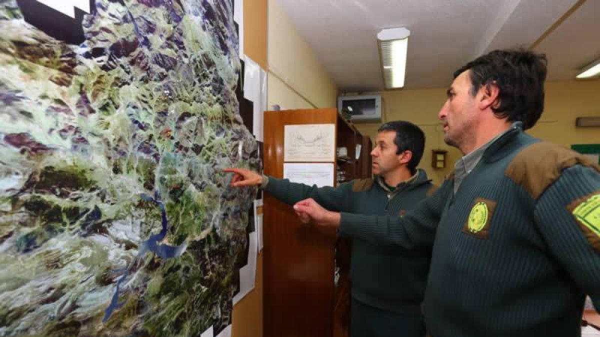 Fernando y Luis comprueban sobre el mapa la localización de las tres urogallinas cuya suelta se realizó en los últimos meses.