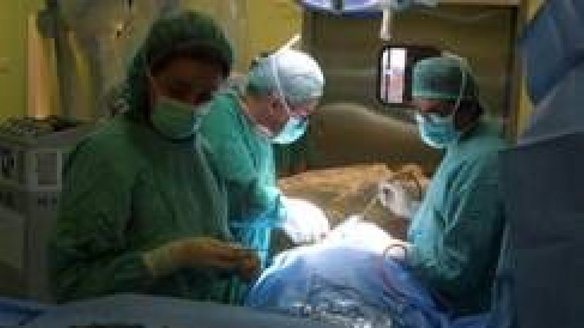 Imagen de una operación desarrollada en el Hospital de León, con médicos y enfermeras