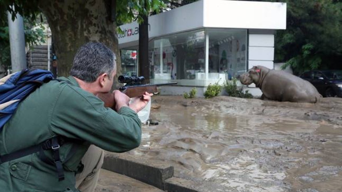 Un hombre disparando tranquilizantes a un hipopótamo en las calles inundadas de Tiflis.