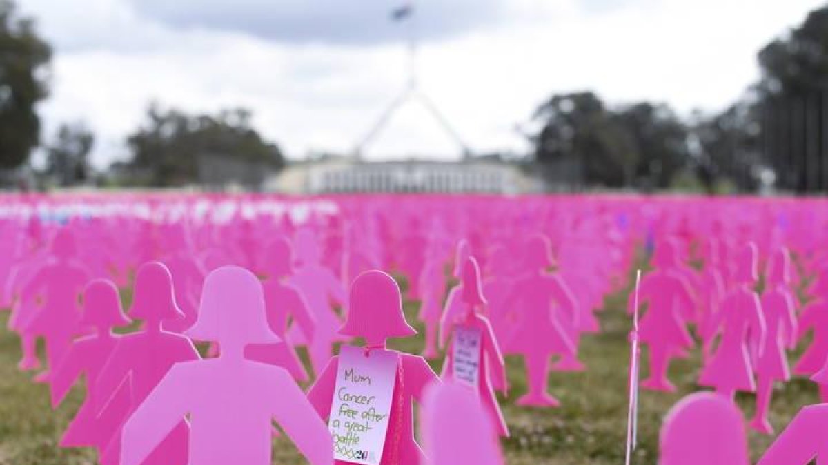 Vista general de algunas de las 6.000 siluetas de mujeres rosas que sirven de memorial sobre el cáncer de mama en las afueras de la Casa del Parlamento en Canberra