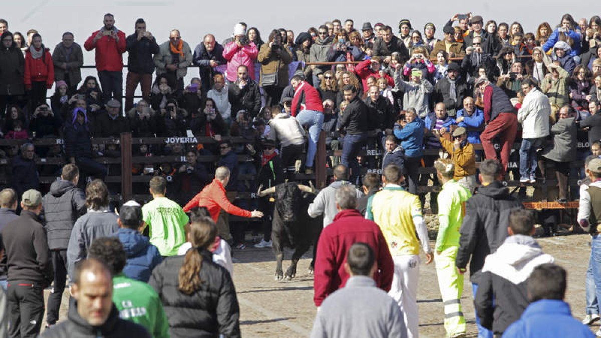 Trece minutos tardó el primer encierro a caballo. J. M. GARCÍA