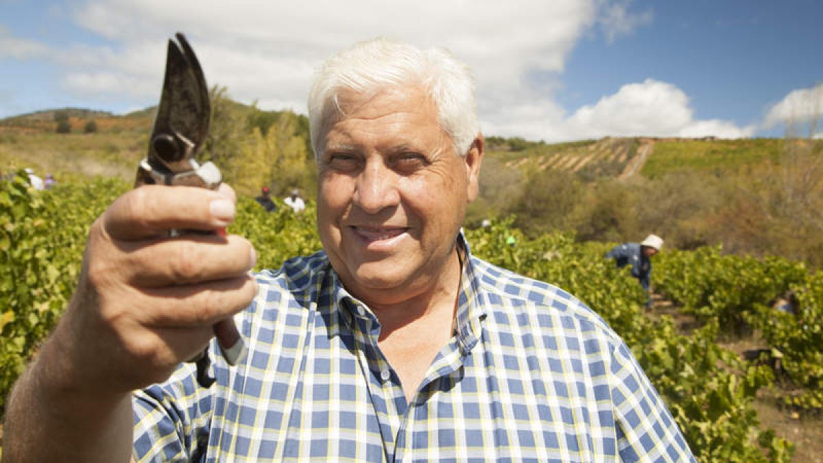 bodegas y viñedos merayo