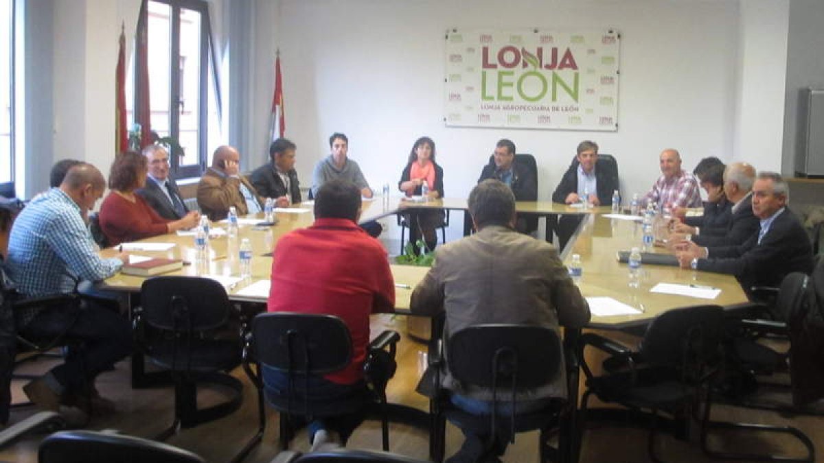 El diputado de Desarrollo Rural asistió a la sesión de la Lonja Agropecuaria de León.