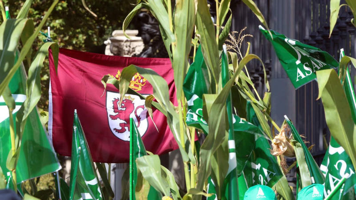 Imagen de la movilización ante el ministerio de cultivadores leoneses de maíz. BENITO ORDÓÑEZ