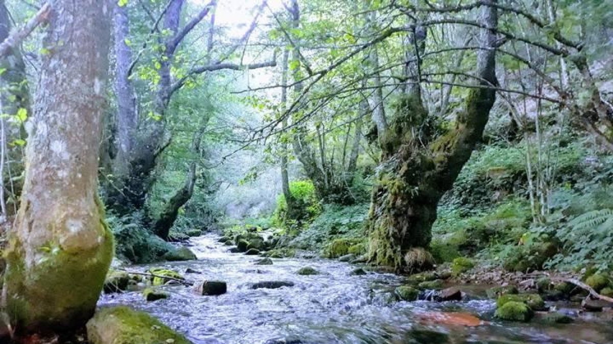 Un río de montaña en el Alto Sil