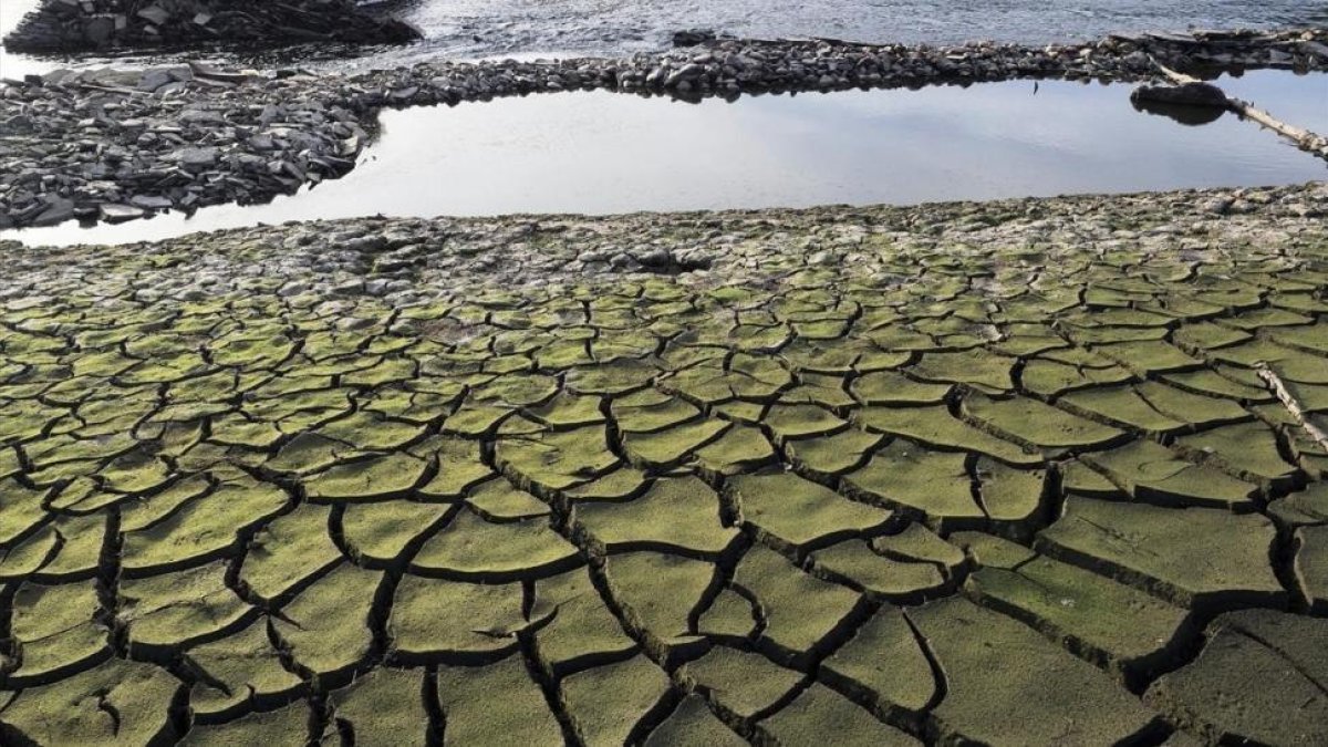 Tierra seca y cuarteada en el embalse de Belesar  a los pies del rio Miño cerca de Portomarín (Pontevedra)