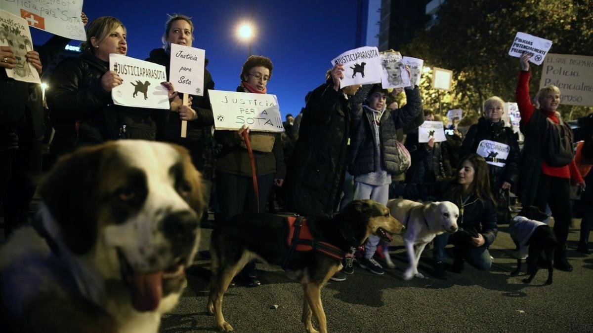 Manifestación por la ejecución de la perra Sota.