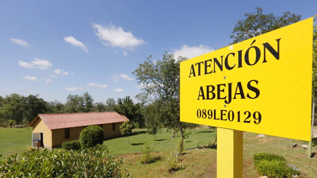 Uno de los talleres anulados iba a formar en viveros y apicultura en el Monte San Isidro. JESÚS F. SALVADORES