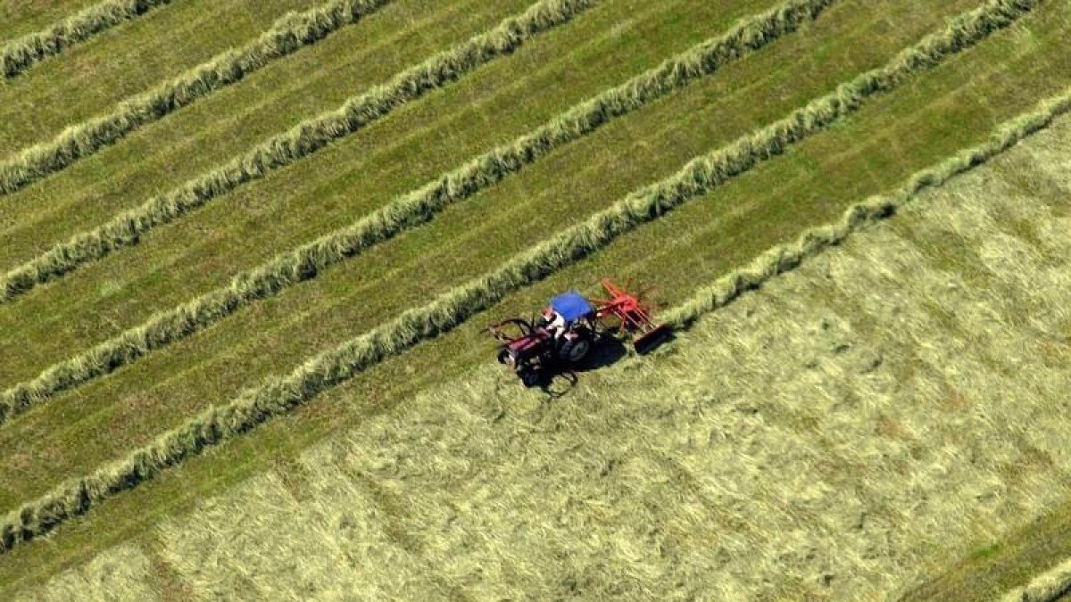 Un agricultor trabaja en su campo.