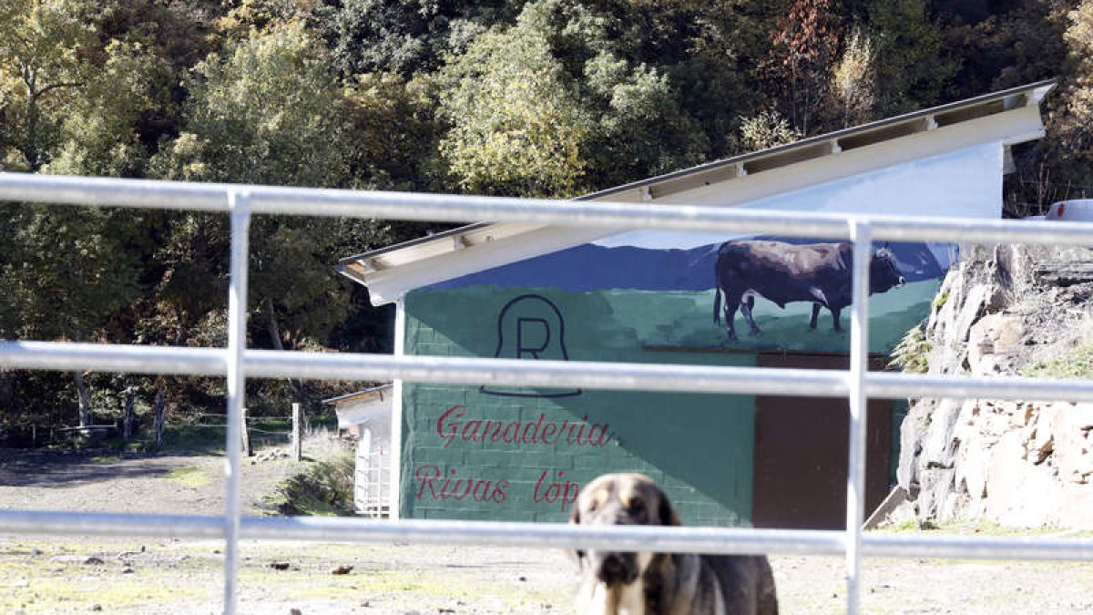 Imagen de la cuadra que la familia Rivas construyó sobre el cargadero de la MSP. MARCIANO PÉREZ