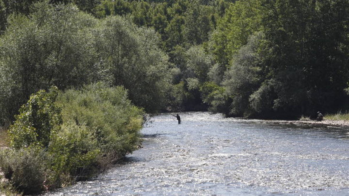 Una imagen de archivo de un pescador en el río Órbigo. JESÚS F. SALVADORES