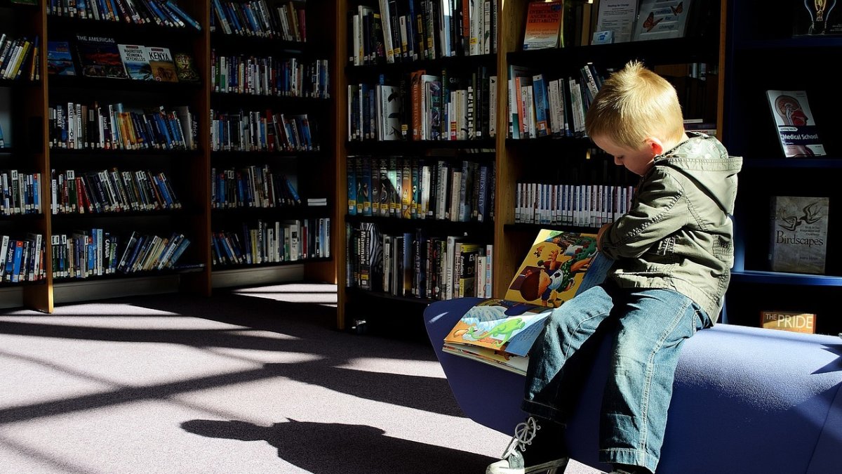 Fotografía de archivo de un niño leyendo un libro. PUBLICDOMAINPICTURES/PIXABAY