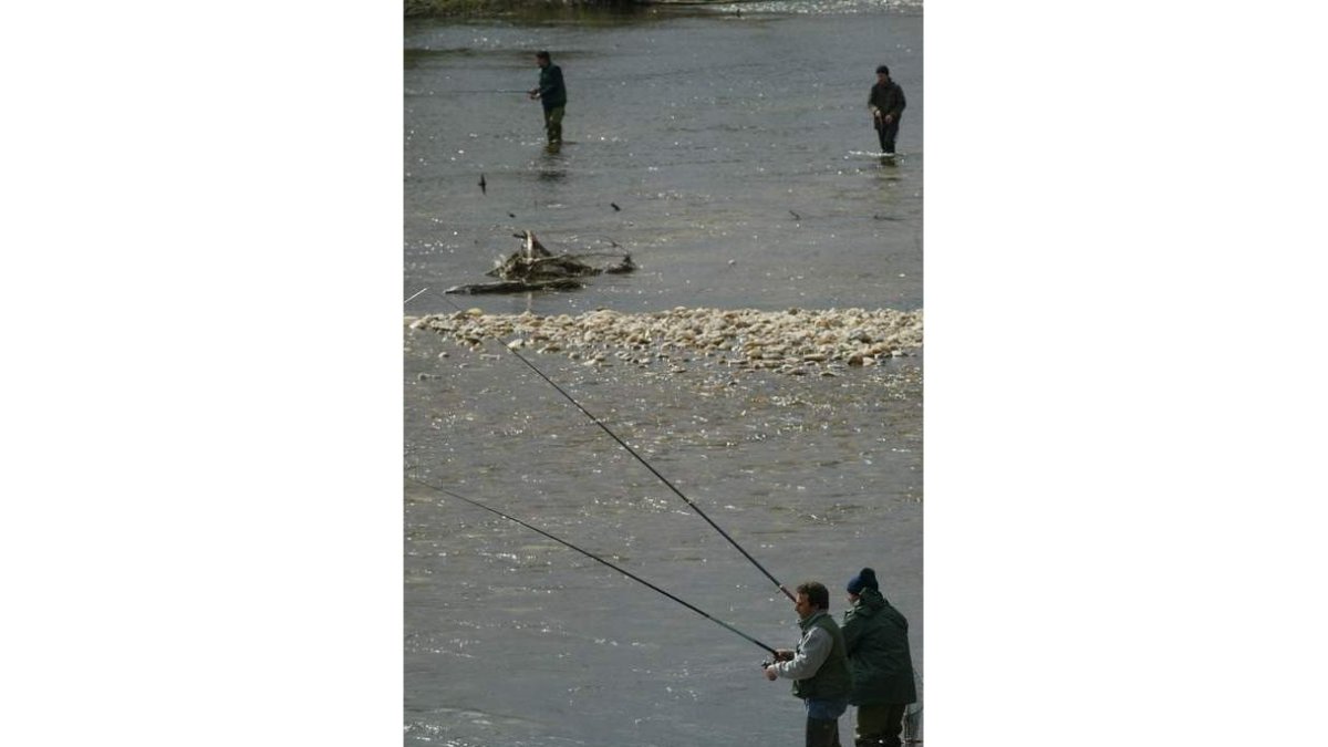 Los pescadores pretenden llenar las márgenes de los ríos desde el primer día de veda.