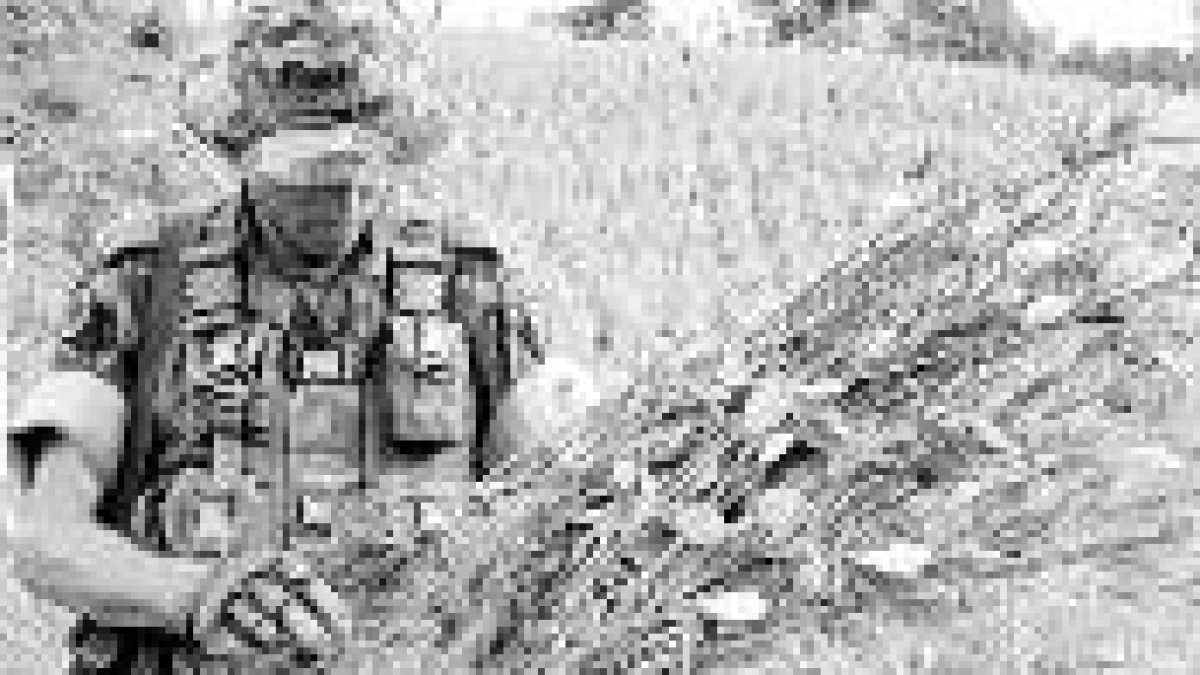 Un soldado del Ejército colombiano arranca plantas de coca en la localidad de Sardinata
