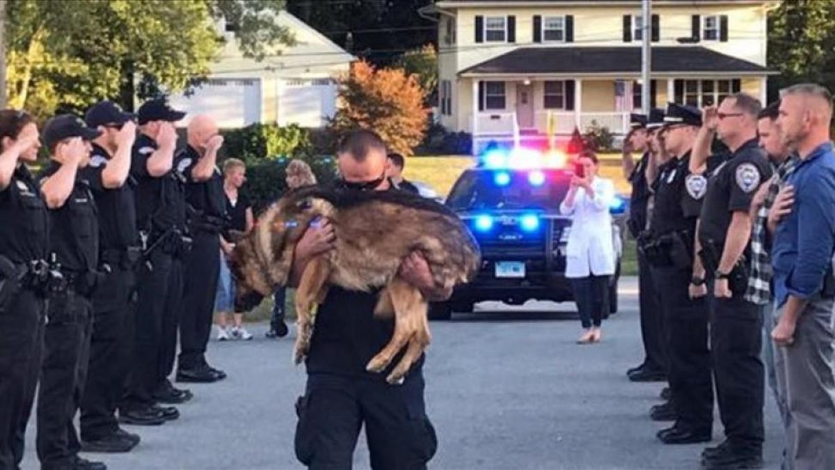 La emotiva despedida a un perro policia diagnosticado con cancer de higado