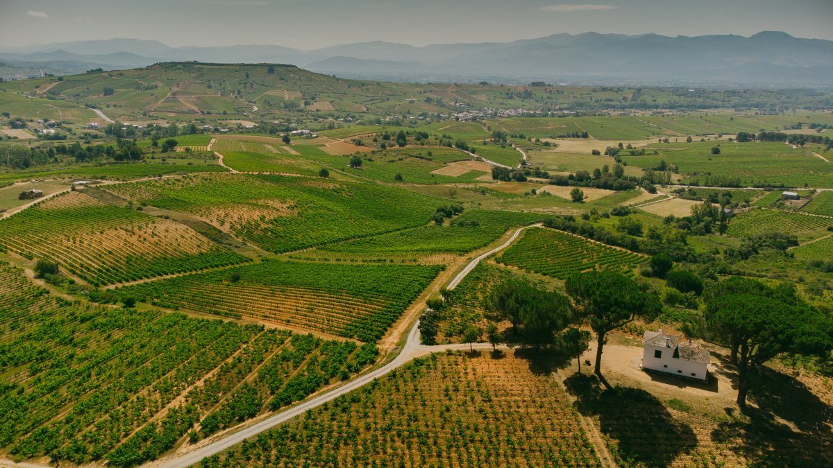 Vista de los viñedos de Villafranca y Valtuille. FUNDACIÓN PRADA A TOPE