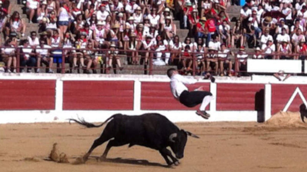 Los recortadores protagonizan saltos y quiebros ante una plaza de toros llena de peñista con camisetas blancas y pañuelos rojos.