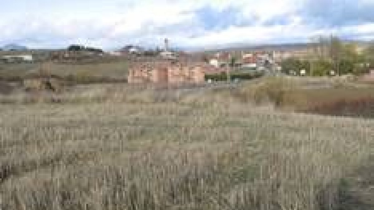 Terrenos cedidos por el vecino Silvio Albalá, en los que se ubicará el centro de día de Almanza
