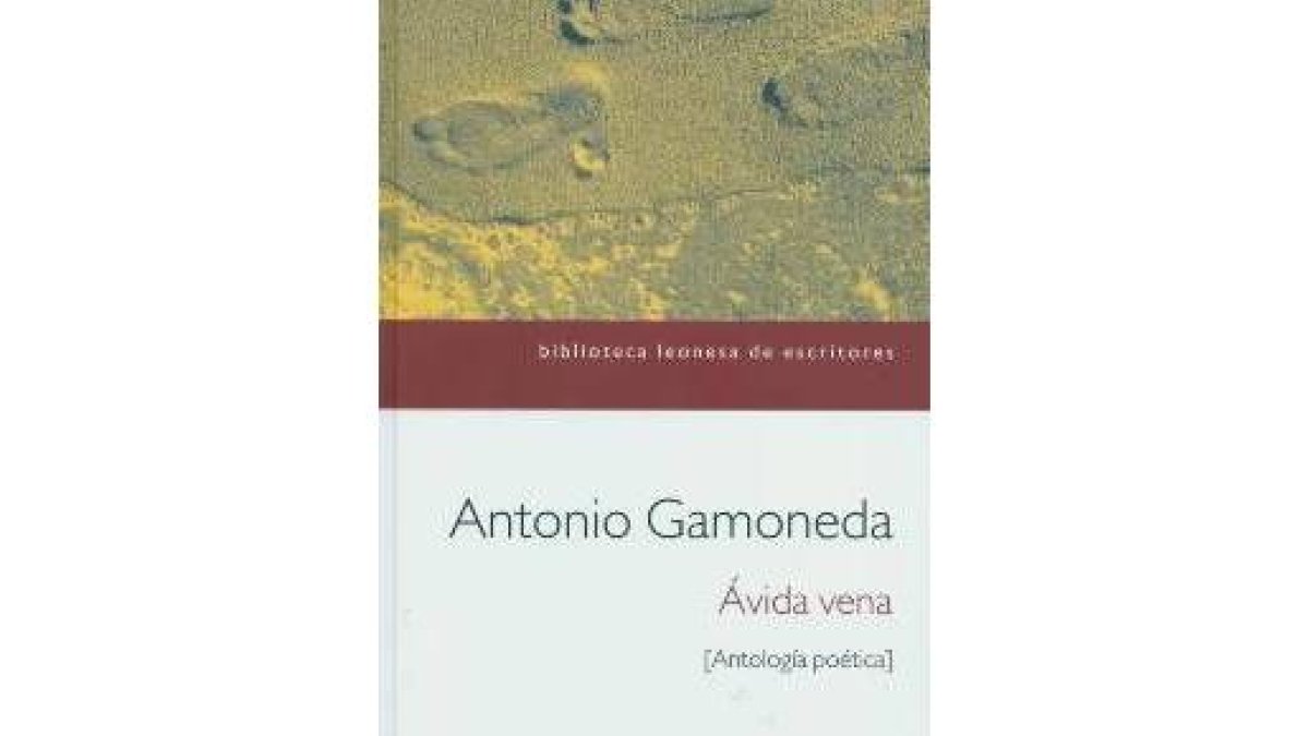 Antonio Gamoneda, en su querida Biblioteca Azcárate