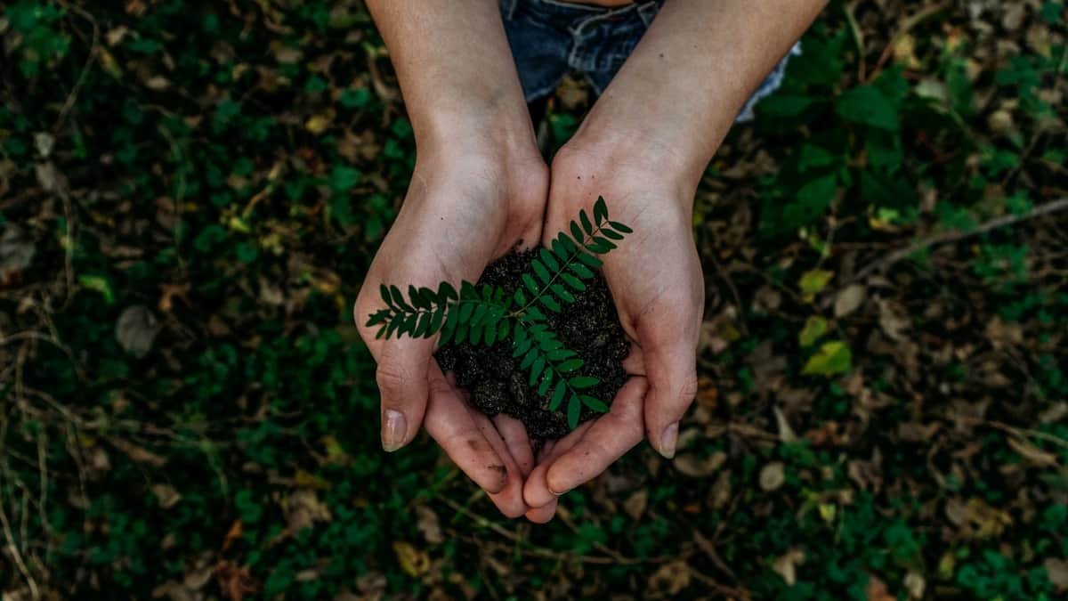 Punto Limpio León: cómo llegar, horario y teléfono Foto: Unsplash