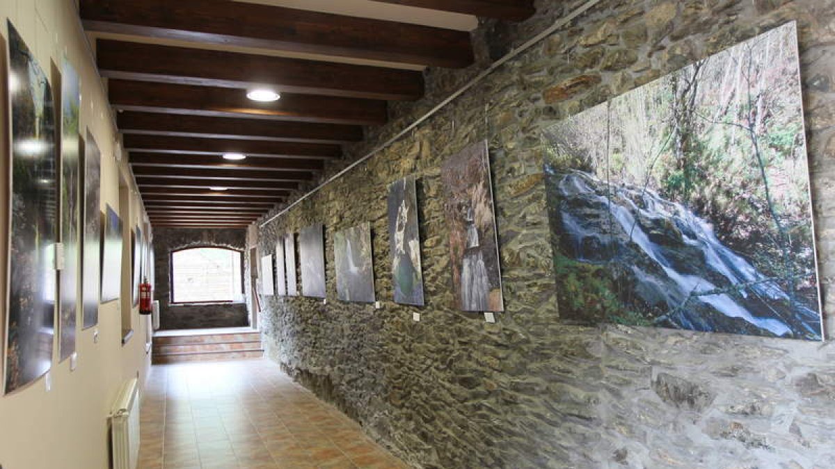 Varias de las obras expuestas en la Casona de los Pérez.