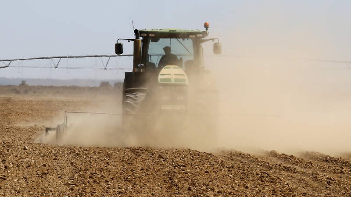 Un agricultor prepara el terreno para la siembra entre una nube de polvo, cerca de Villeza. MARCIANO PÉREZ