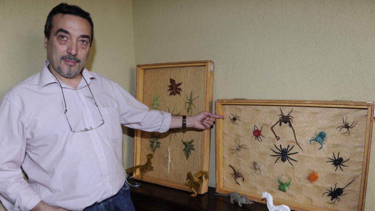 El profesor de Física, Química y Matemáticas en el Colegio Divina Pastora de León muestra dos de sus cuadros de exposición, en los que se ven insectos palo y más de una decena de arañas.