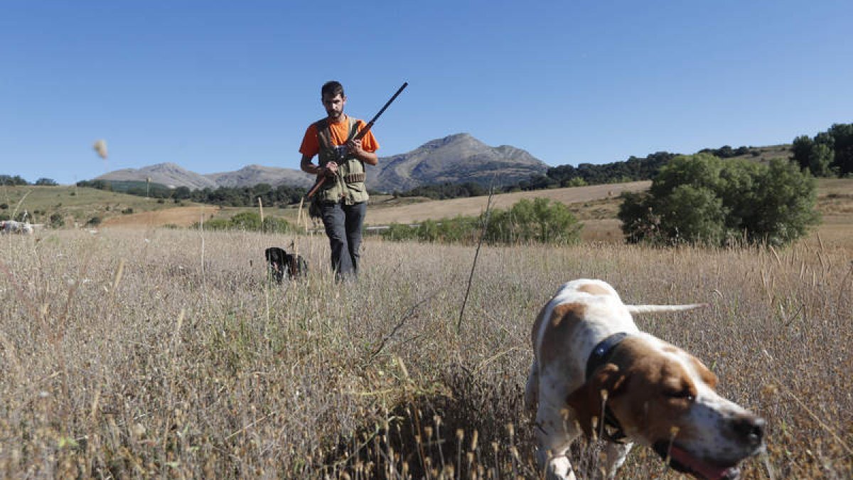 Un cazador con sus perros en una jornada de media veda en los campos leoneses. JESÚS F. SALVADORES