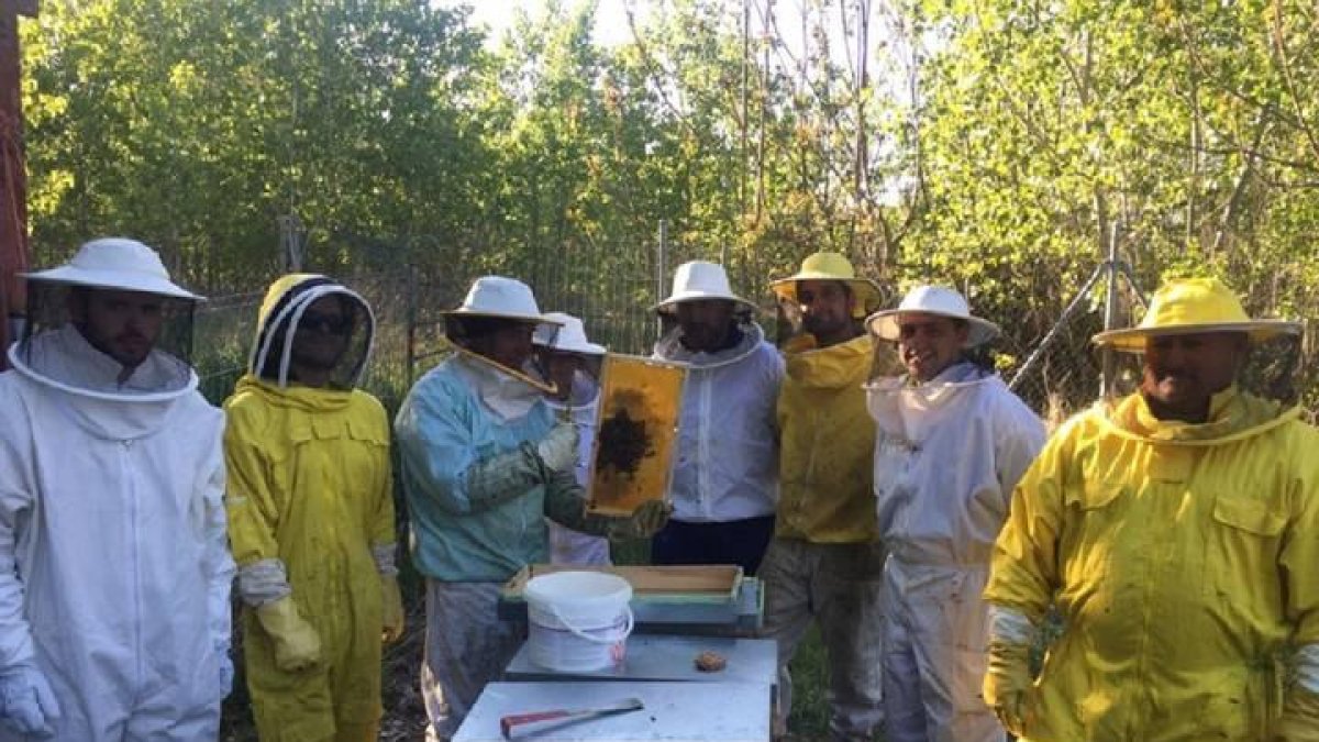La apicultura es un sector al alza en el Bierzo y la provincia