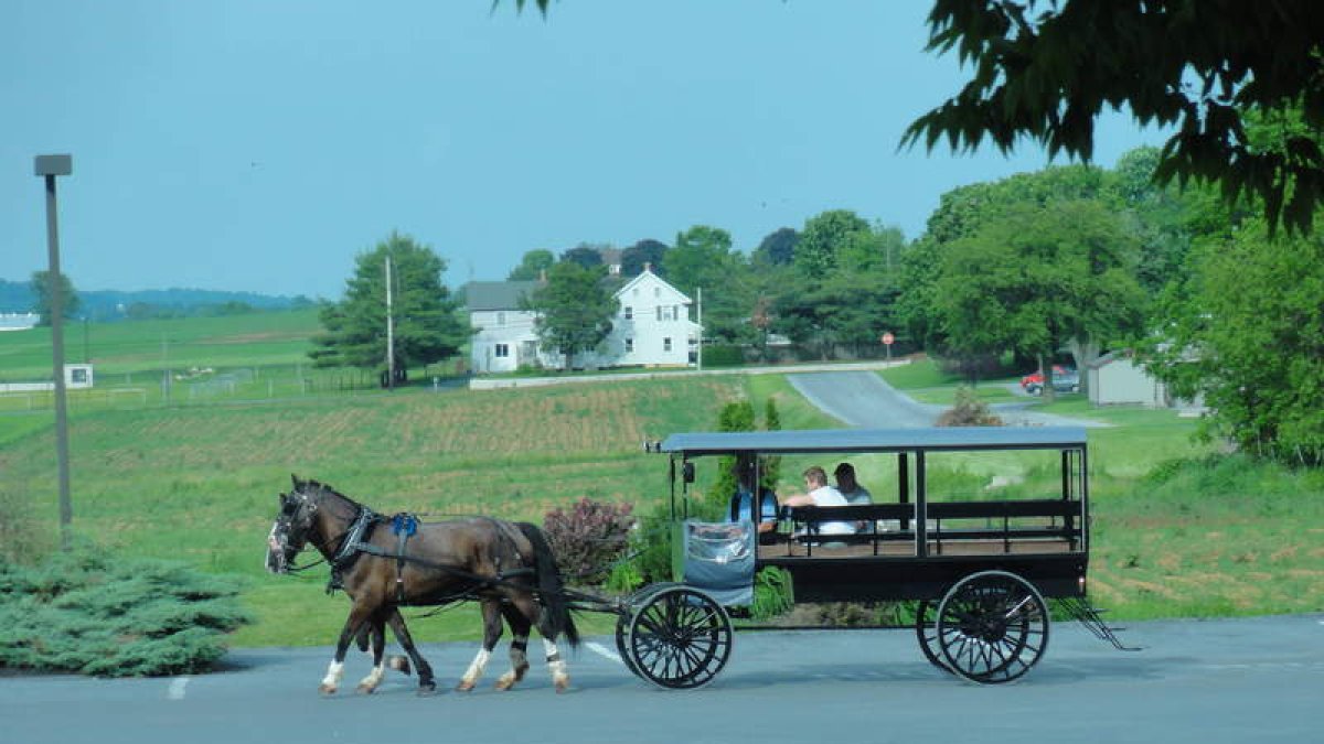 Bus Amish.