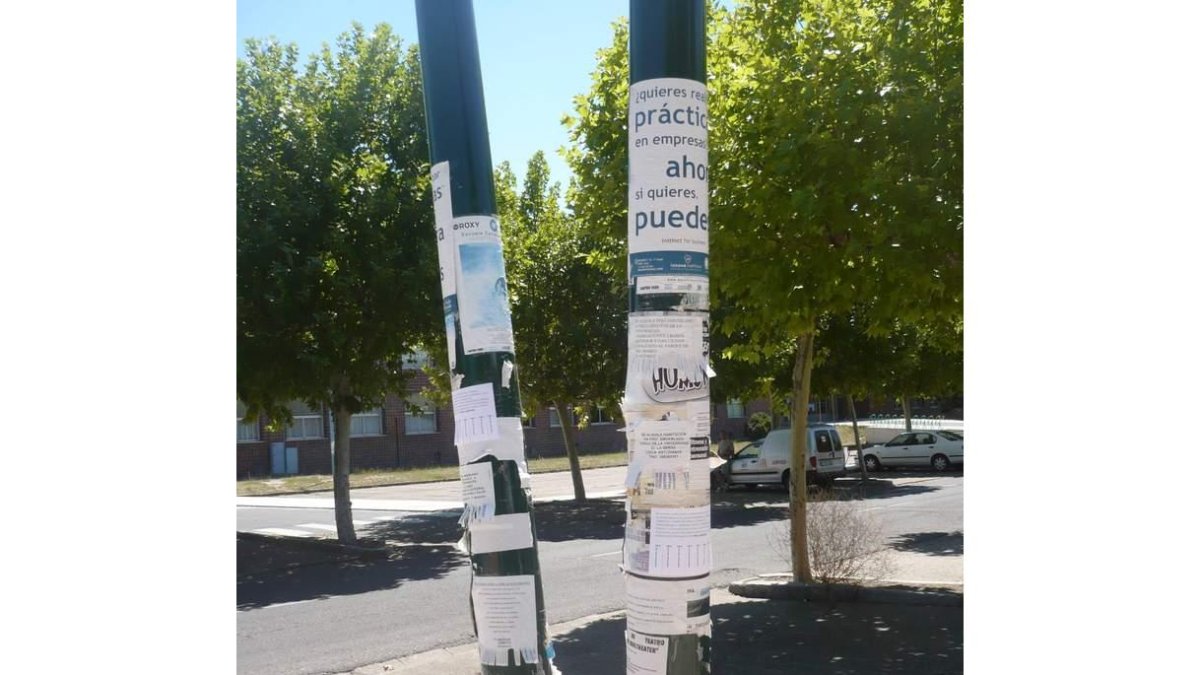 Algunas de las farolas del campus, esta misma semana.