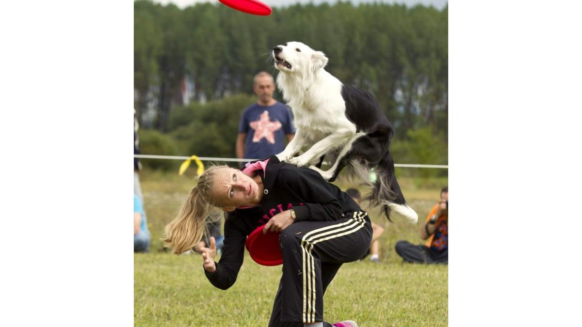 Una pareja mujer-perro participa en la modalidad ‘freestyle’ del campeonato.