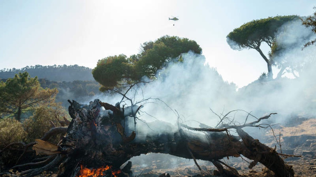 Imagen del incendio de Ávila. RAÚL SANCHISRIÁN