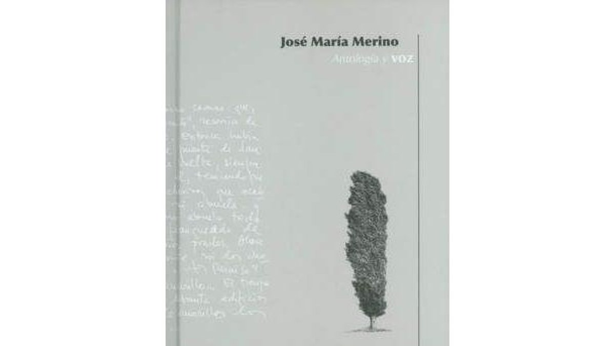El tercer número de esta colección está dedicado a la sugestiva obra de Merino