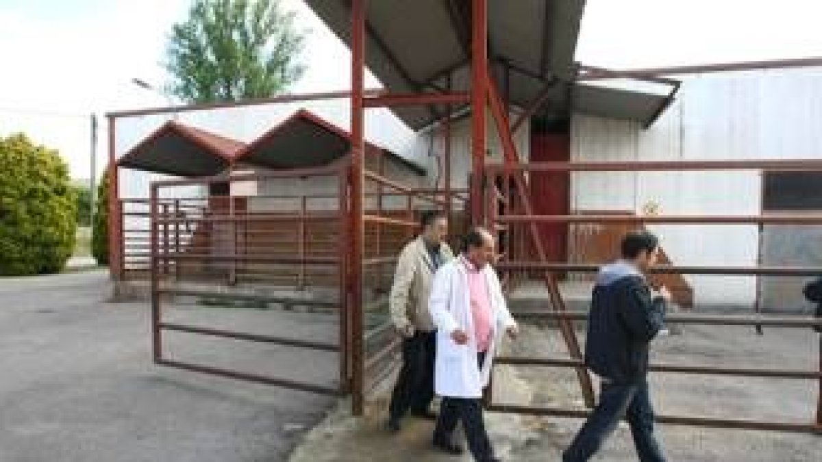 Imagen de archivo de una de las visitas realizadas por los técnicos veterinarios al matadero