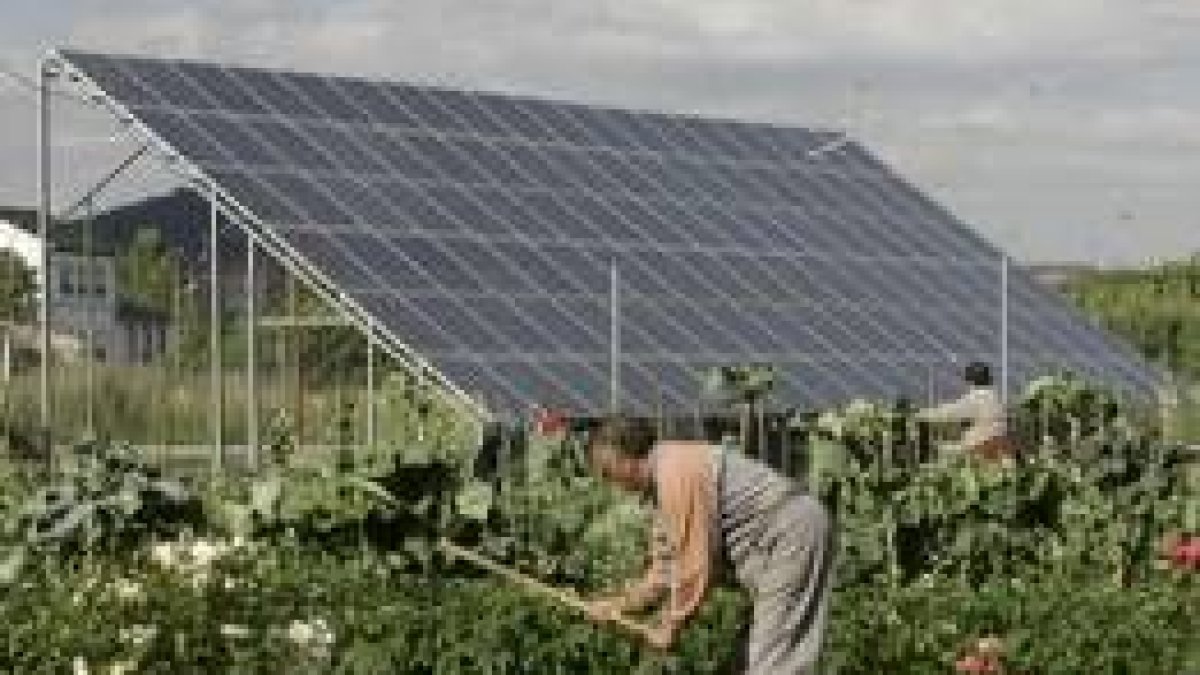 Paneles solares en el parque de 100 kilowatios que ya funciona en el barrio de Flores del Sil