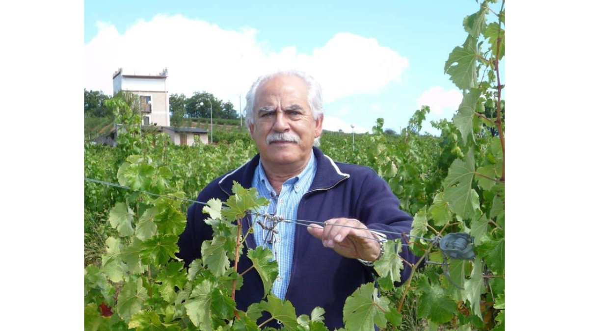 Gabriel Merayo Feliz, en la viña de Viña Albares, con el torreón que mandó construir Antolín López Peláez y que ahora es el símbolo de la bodega al fondo.