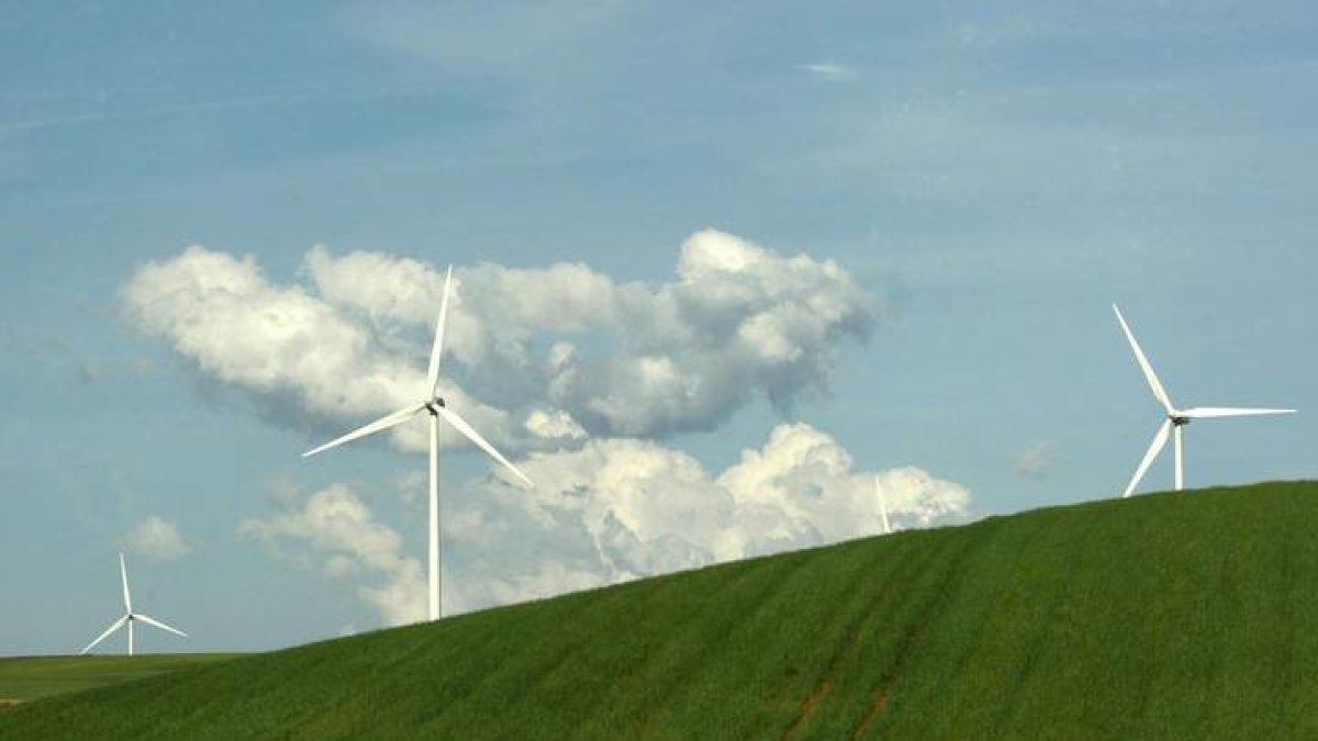 Para combatir el cambio climático, el banco contrata electricidad procedente de renovables. DL