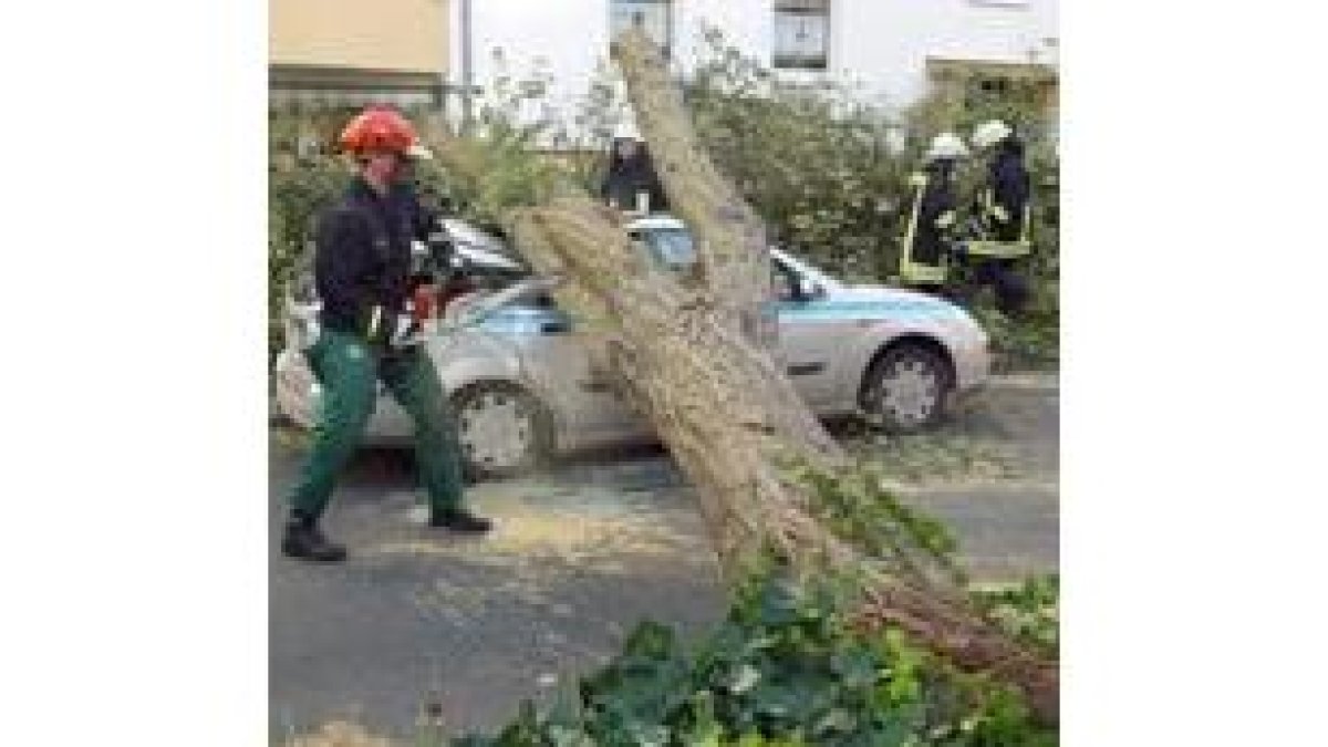 Un bombero trata de cortar el árbol caído sobre un coche en Alemania