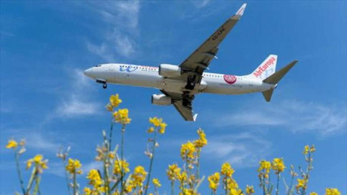 Un avión de Air Europa se dispone a aterrizar.